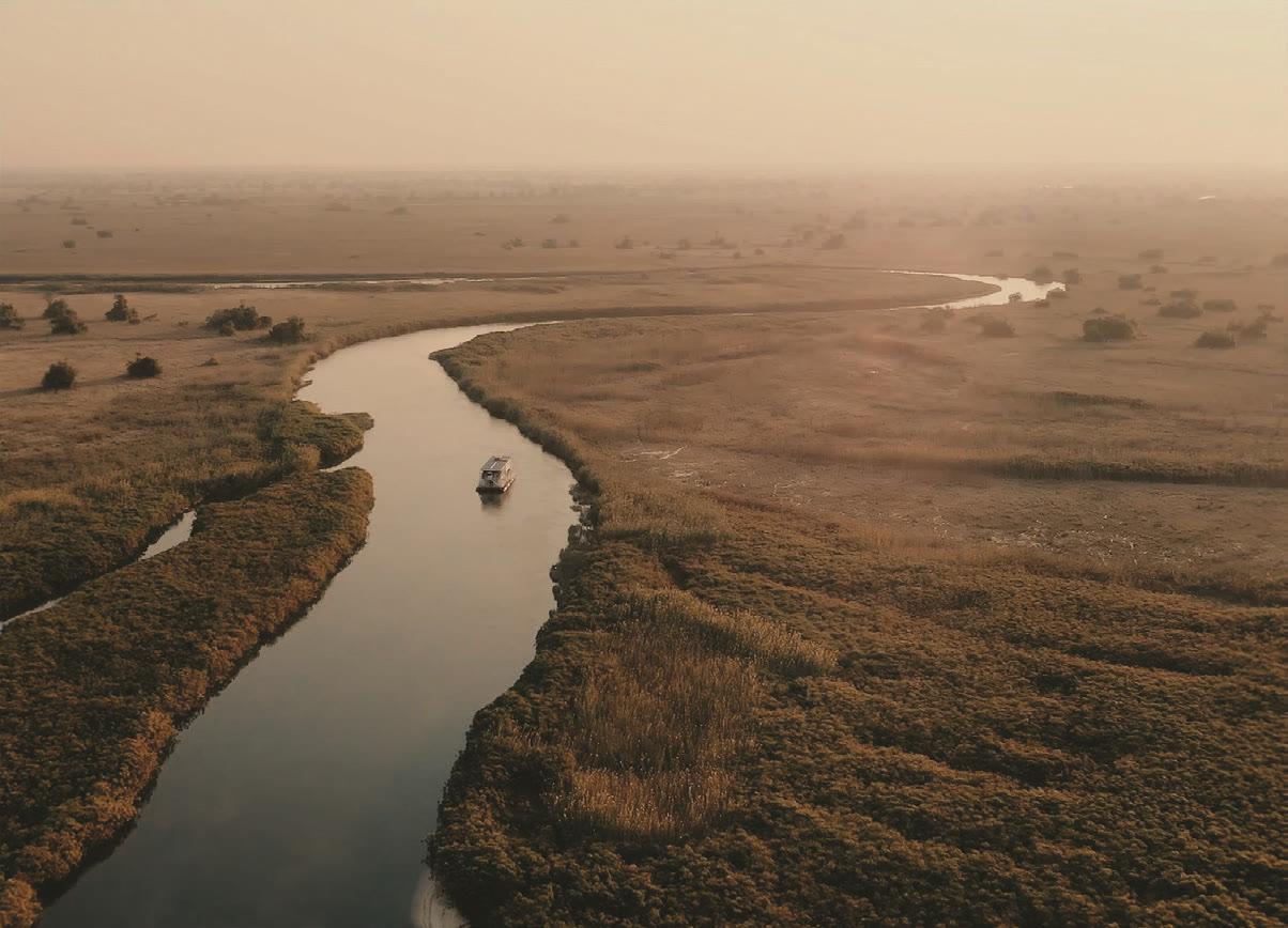 Aerial view of a river winding through golden wetlands